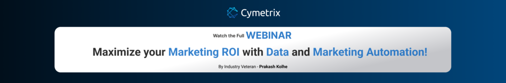 Maximize Marketing ROI with Data and marketing automation